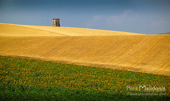 Andalusian Countryside