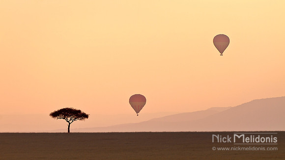 Balloons over Serengeti