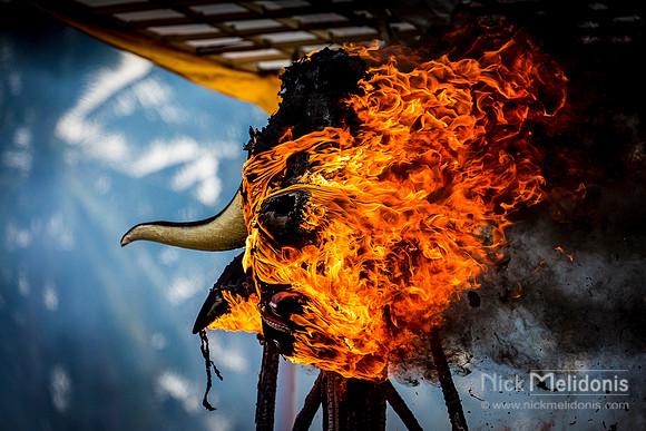 Cremation Bull set Alight