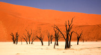 Dead Vlei  2