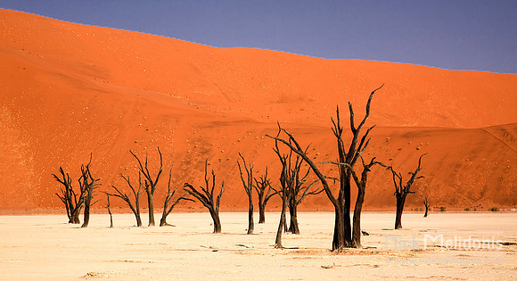 Dead Vlei  2
