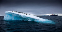 Boat and Penguins