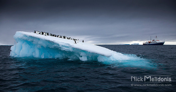 Boat and Penguins