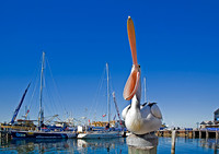 Clippers Fremantle 3