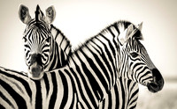 Namibia