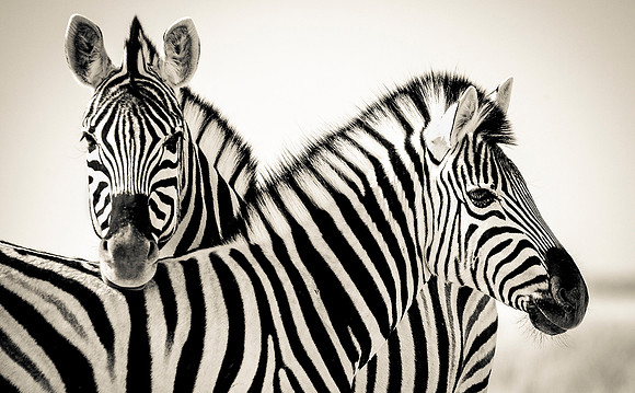 Namibia