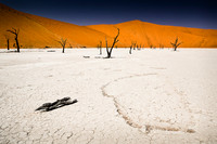 Dead Vlei  1