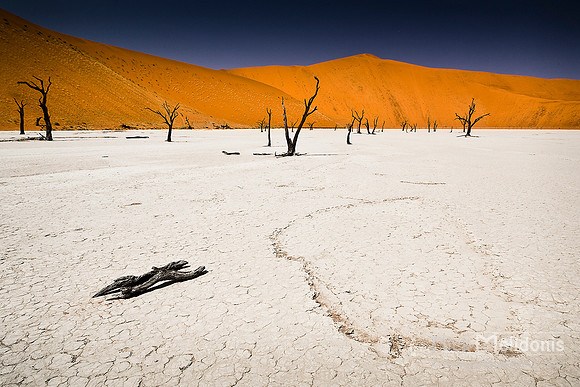 Dead Vlei  1