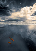West Land Beach 2