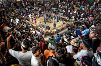 Village Cockfight Bali