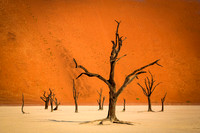 Dead Vlei  4