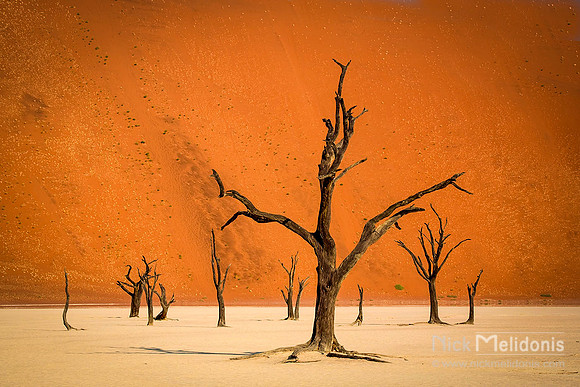 Dead Vlei  4