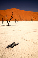Dead Vlei  3