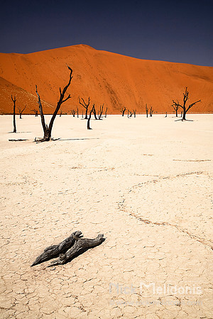 Dead Vlei  3