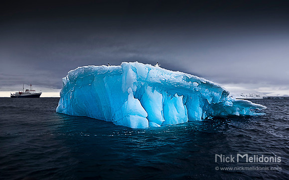 Boat and Penguin Haven