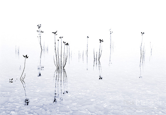 Reeds Lake Wanaka NZ