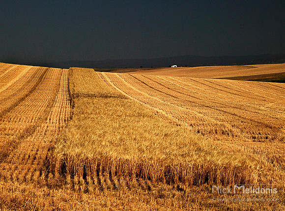 Andalusian Countryside