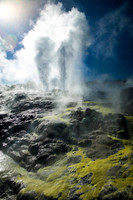 Phhutu Geyeser, Rotorua