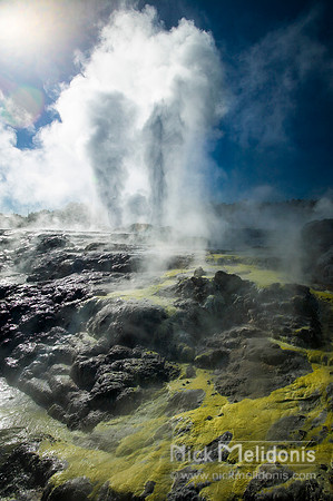 Phhutu Geyeser, Rotorua