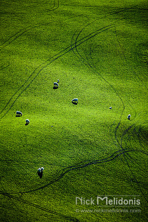 Patterns and Sheep