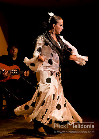 Flamenco Dancer Jerez 5