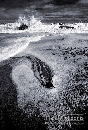 Westland Beach 1
