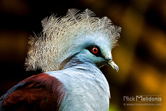 KL Bird Park 2
